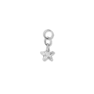 Anhänger Charm "Elegance Star" – Echte Cubic Zirkonia in Sternform, 3 Farben